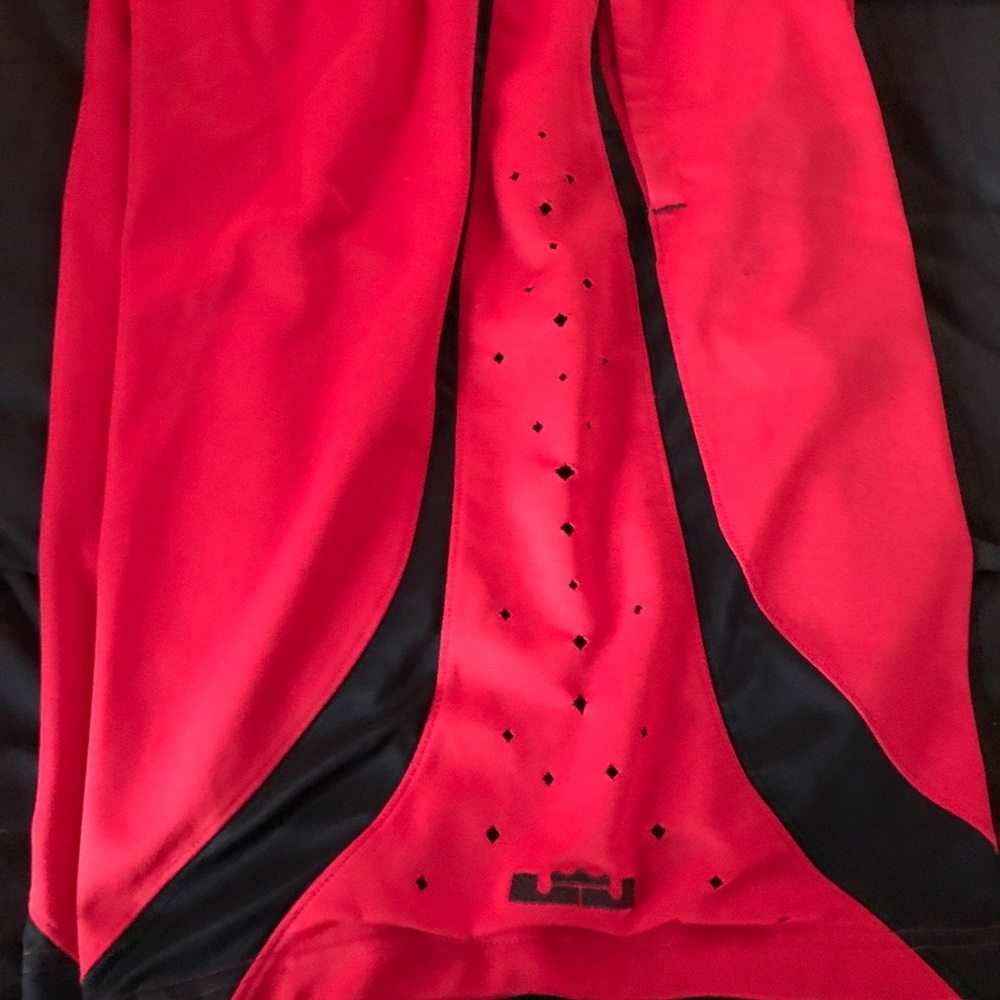 Lebron James Nike shorts